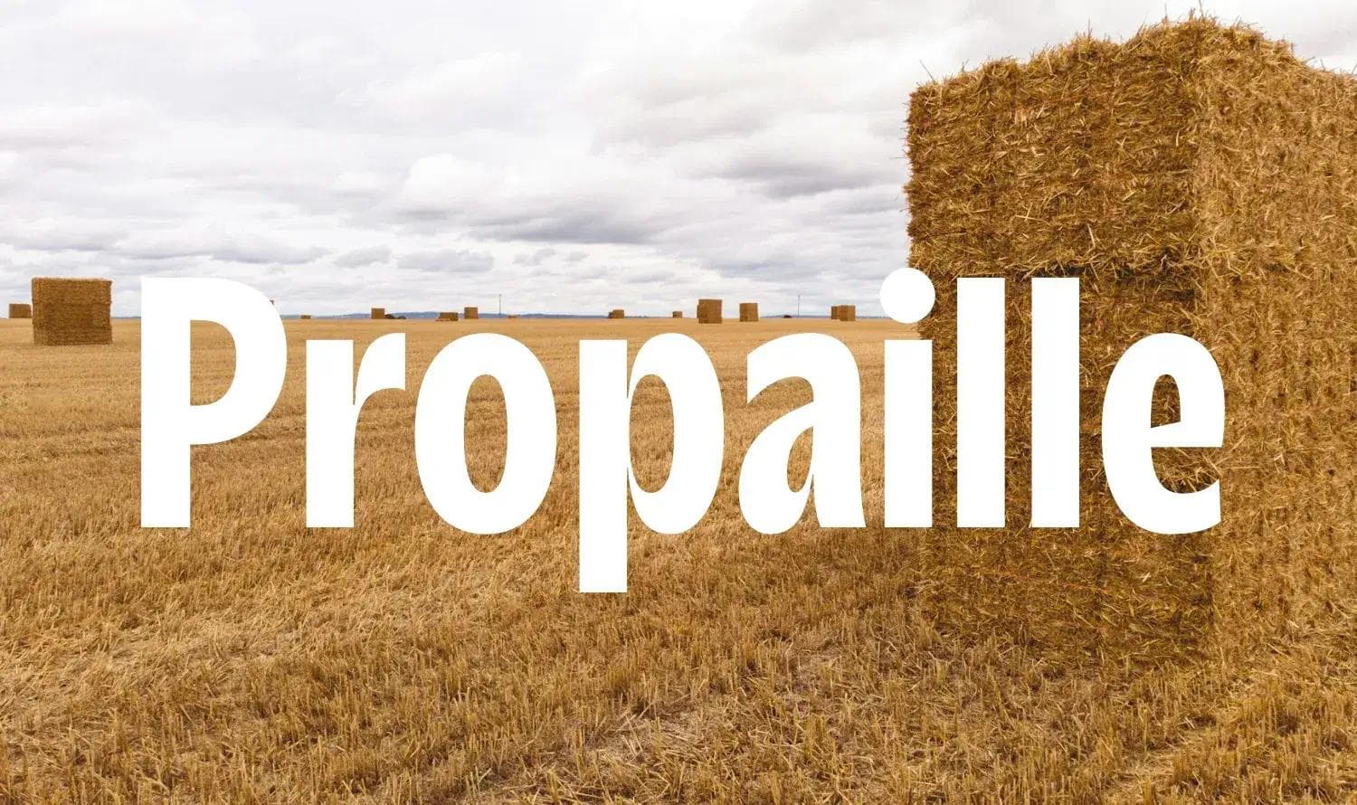 Photo de botte de paille avec la mention Propaille en surimpression