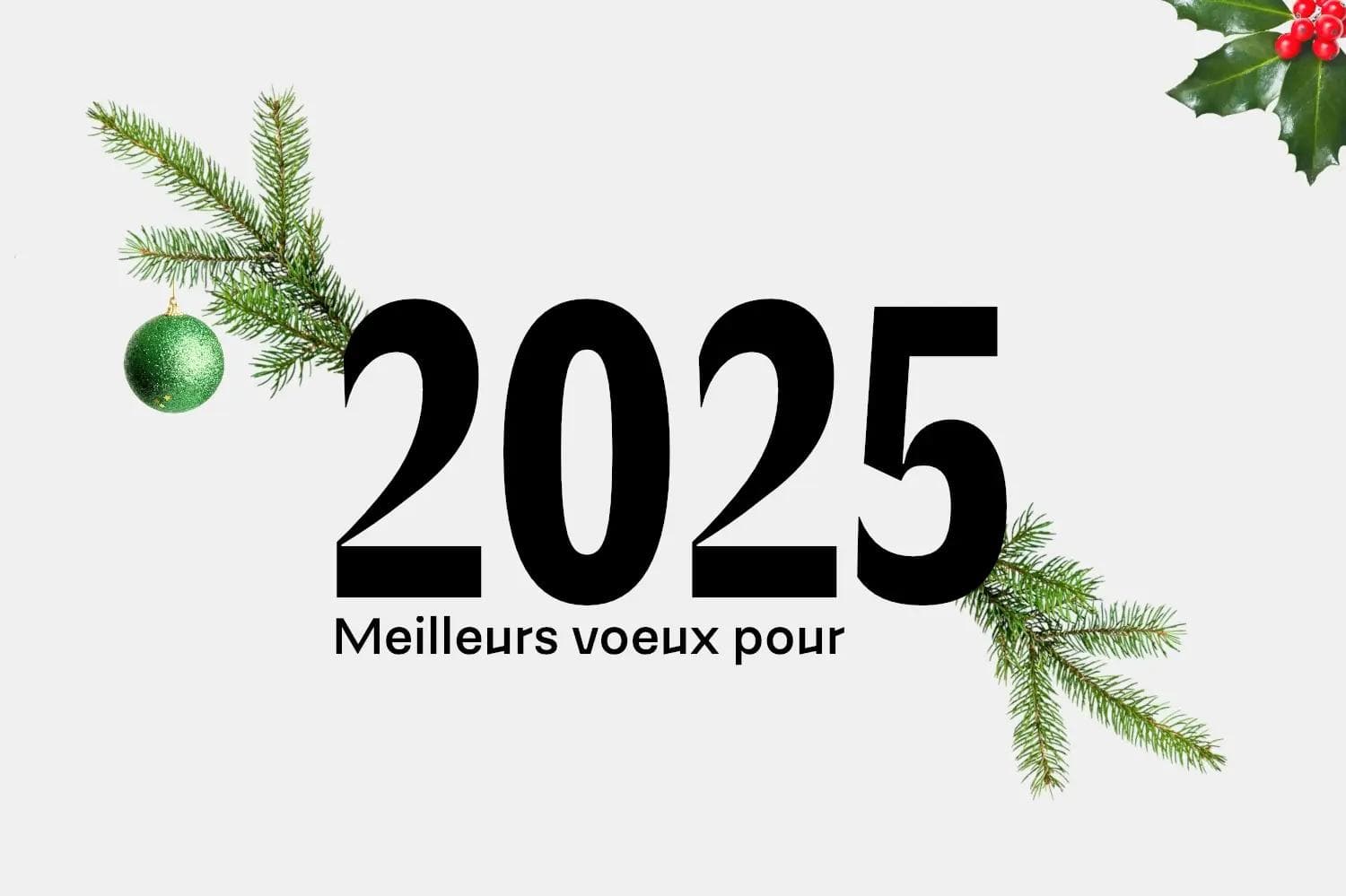 Illustration pour l'année 2025