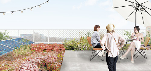 image of the green roof
