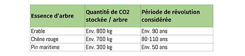 Tableau de valeurs avec différentes essences d’arbre et le CO2 stocké